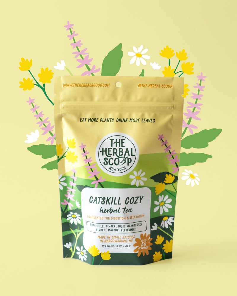 Catskill Cozy | Organic Herbal Tea for Digestion & Relaxation