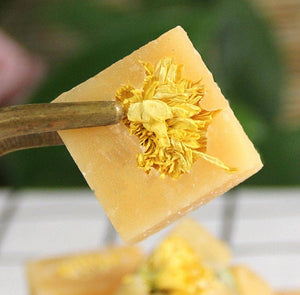 Gourmet Honey Sugar Cubes