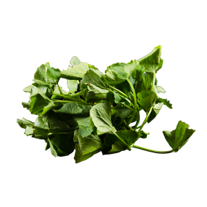 Gotu Kola